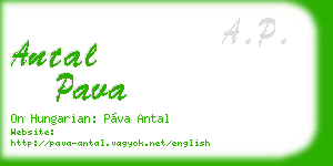 antal pava business card